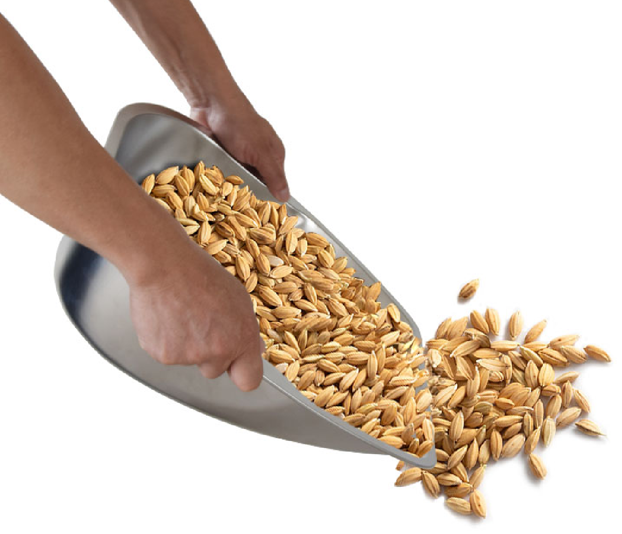Stainless Steel Dustpan - Image 3